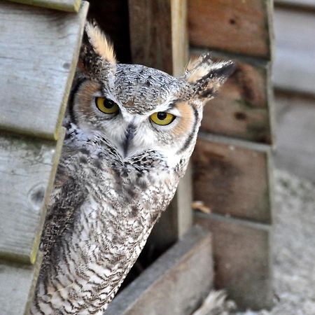 B&B 'T Solveldje Bilzen Zewnętrze zdjęcie